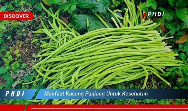 manfaat kacang panjang untuk kesehatan