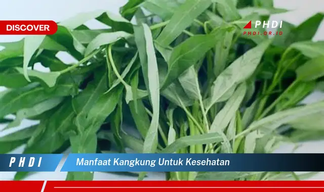 manfaat kangkung untuk kesehatan