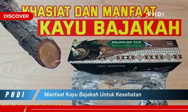 manfaat kayu bajakah untuk kesehatan