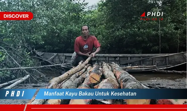 manfaat kayu bakau untuk kesehatan