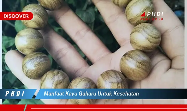 manfaat kayu gaharu untuk kesehatan