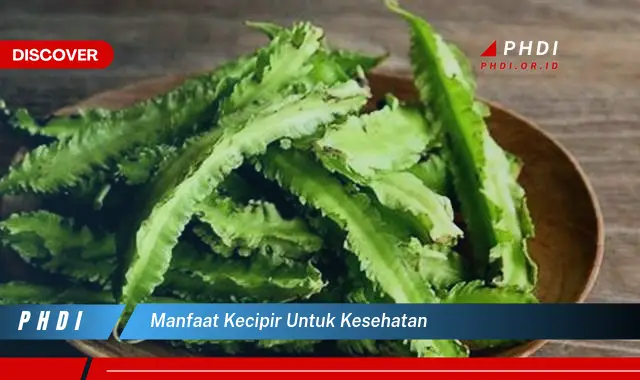 manfaat kecipir untuk kesehatan