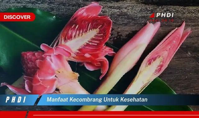 manfaat kecombrang untuk kesehatan