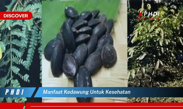 manfaat kedawung untuk kesehatan