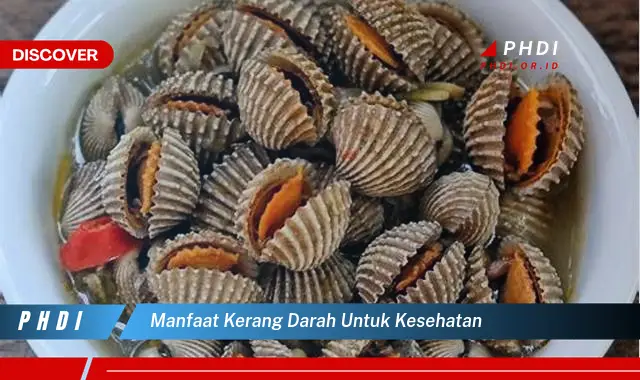 manfaat kerang darah untuk kesehatan