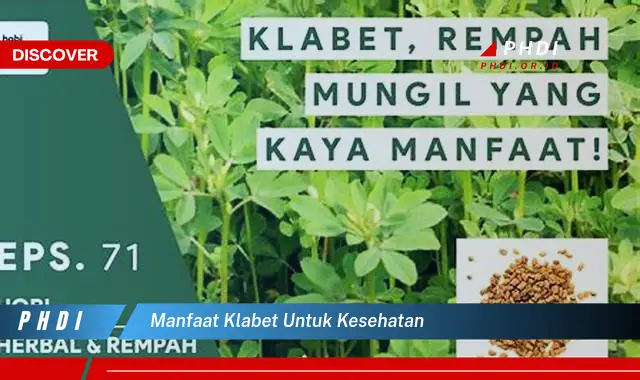 manfaat klabet untuk kesehatan