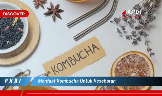 manfaat kombucha untuk kesehatan