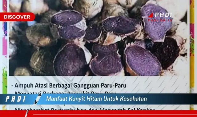 manfaat kunyit hitam untuk kesehatan