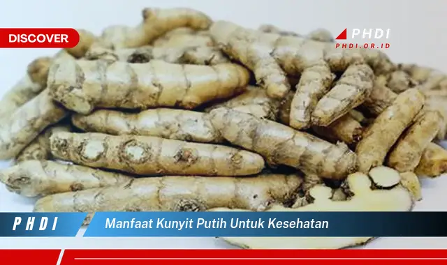 manfaat kunyit putih untuk kesehatan