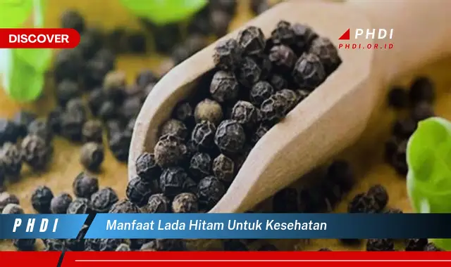 manfaat lada hitam untuk kesehatan