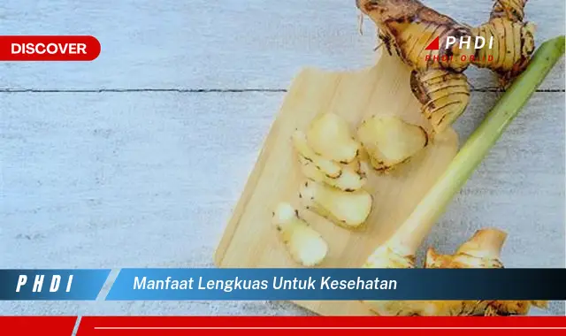 manfaat lengkuas untuk kesehatan