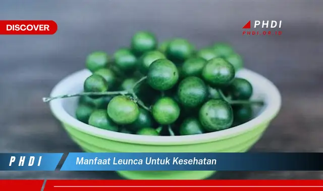 manfaat leunca untuk kesehatan