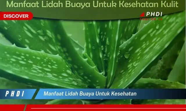 manfaat lidah buaya untuk kesehatan