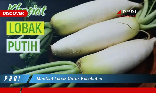 manfaat lobak untuk kesehatan