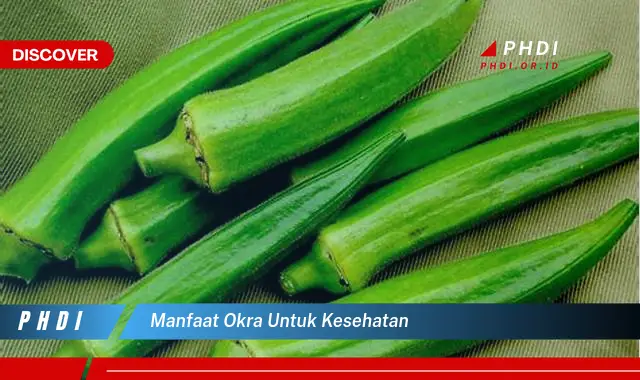 manfaat okra untuk kesehatan