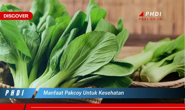 manfaat pakcoy untuk kesehatan