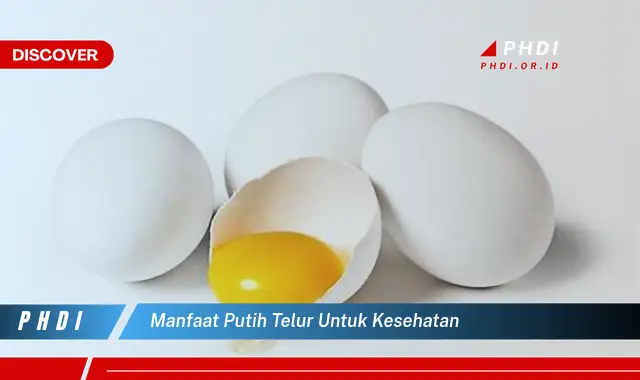 manfaat putih telur untuk kesehatan