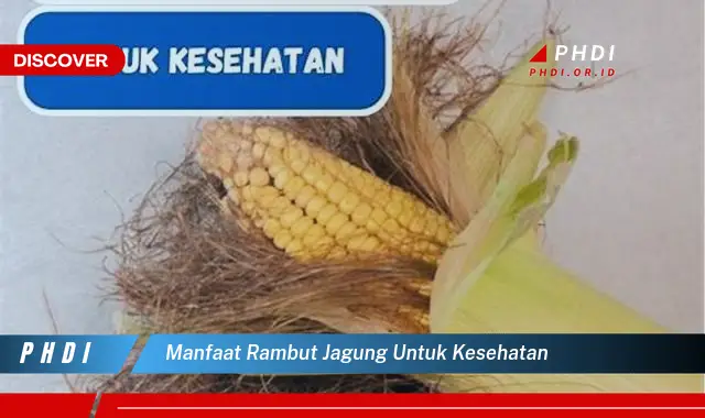 manfaat rambut jagung untuk kesehatan