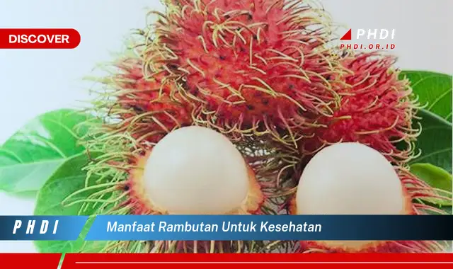 manfaat rambutan untuk kesehatan