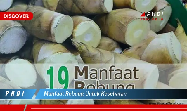 manfaat rebung untuk kesehatan