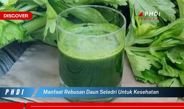 manfaat rebusan daun seledri untuk kesehatan