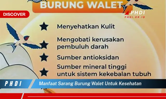 manfaat sarang burung walet untuk kesehatan