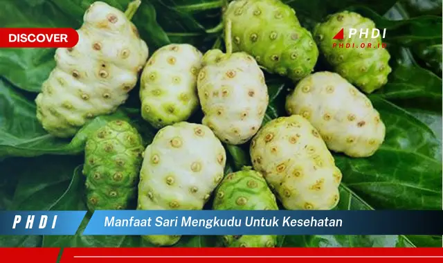 manfaat sari mengkudu untuk kesehatan