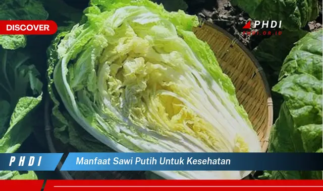 manfaat sawi putih untuk kesehatan