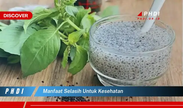 manfaat selasih untuk kesehatan