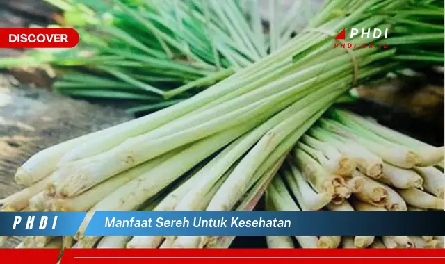 manfaat sereh untuk kesehatan