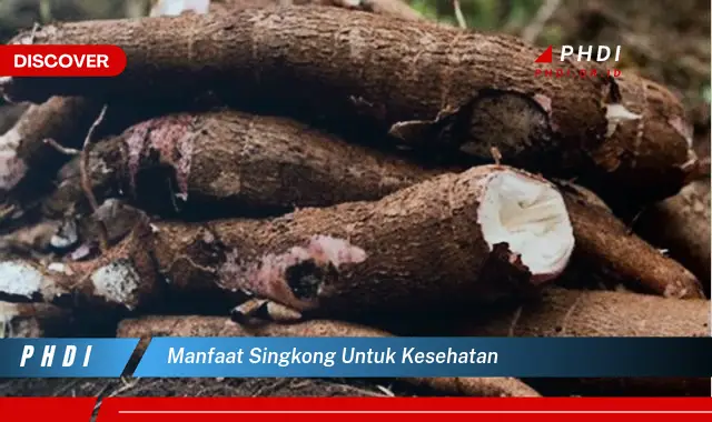 manfaat singkong untuk kesehatan