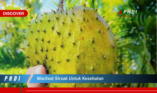 manfaat sirsak untuk kesehatan