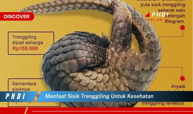 manfaat sisik trenggiling untuk kesehatan