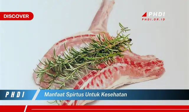 manfaat spirtus untuk kesehatan