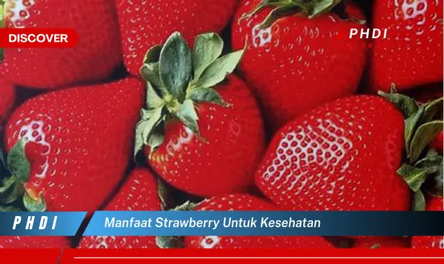 manfaat strawberry untuk kesehatan