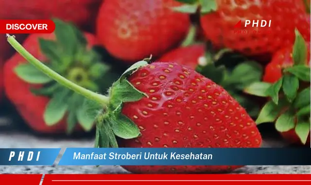 manfaat stroberi untuk kesehatan