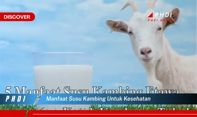 manfaat susu kambing untuk kesehatan