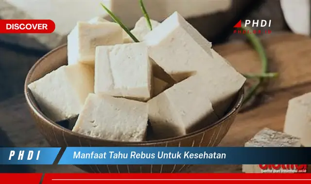 manfaat tahu rebus untuk kesehatan