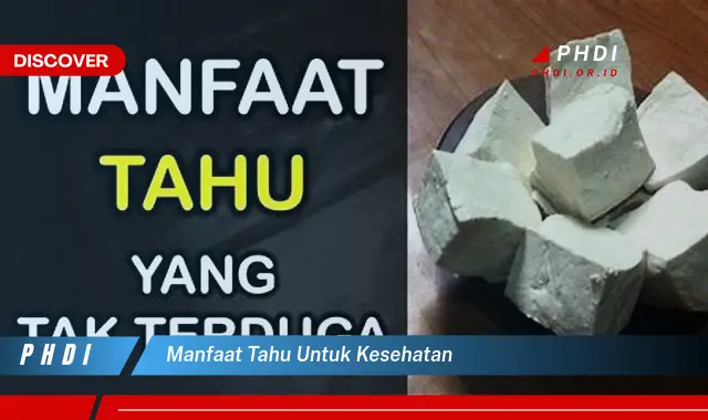 manfaat tahu untuk kesehatan