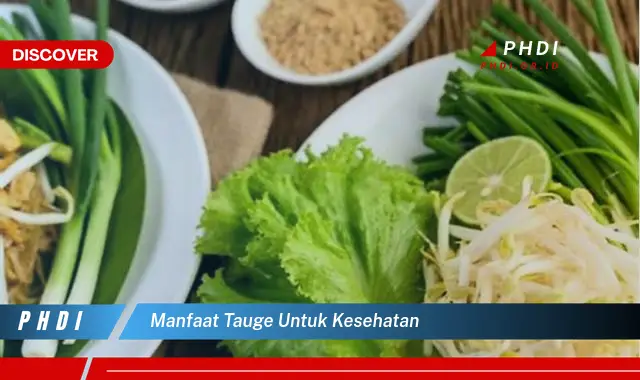 manfaat tauge untuk kesehatan