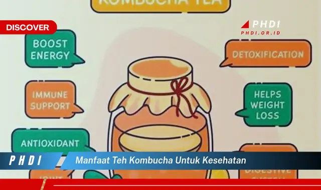 manfaat teh kombucha untuk kesehatan