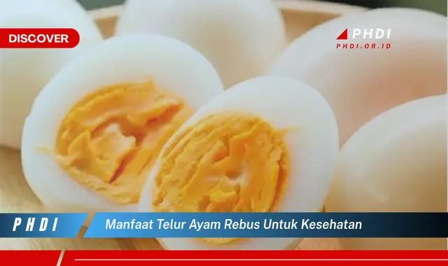 manfaat telur ayam rebus untuk kesehatan