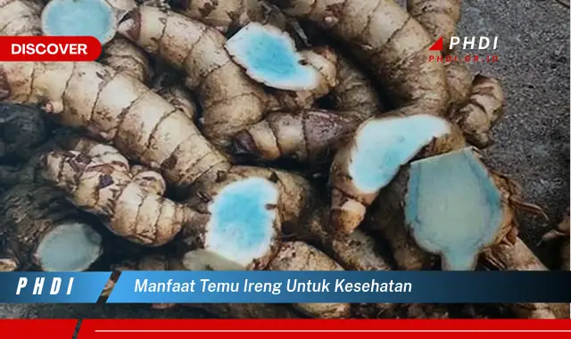 manfaat temu ireng untuk kesehatan