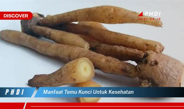 manfaat temu kunci untuk kesehatan