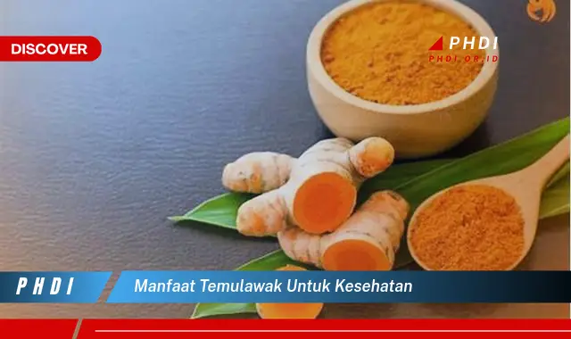 manfaat temulawak untuk kesehatan