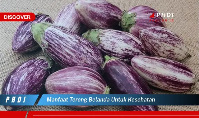 manfaat terong belanda untuk kesehatan