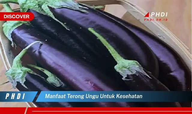 manfaat terong ungu untuk kesehatan