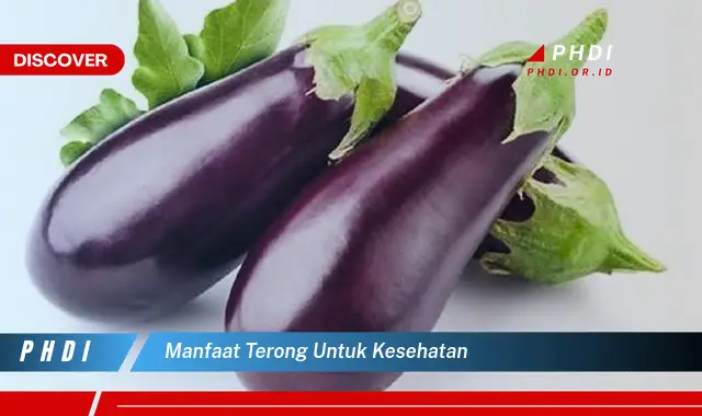 manfaat terong untuk kesehatan