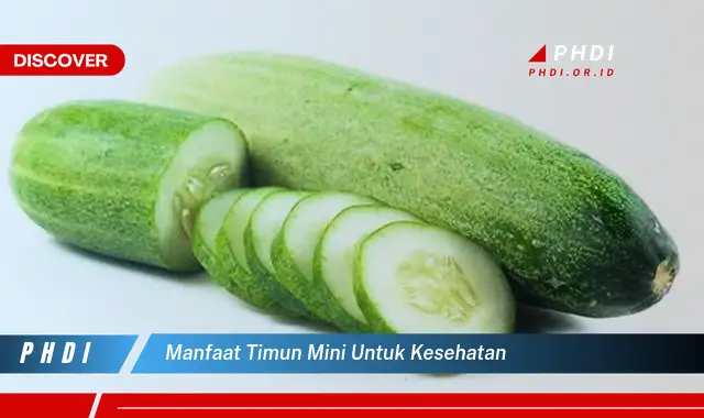 manfaat timun mini untuk kesehatan