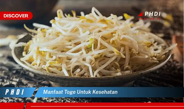 manfaat toge untuk kesehatan